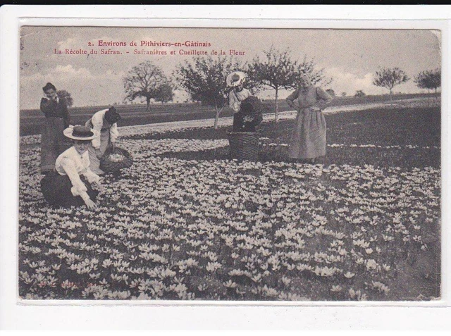 Pithiviers - CPA Pithiviers Route de Bondaroy (animée) L1262 - Carte