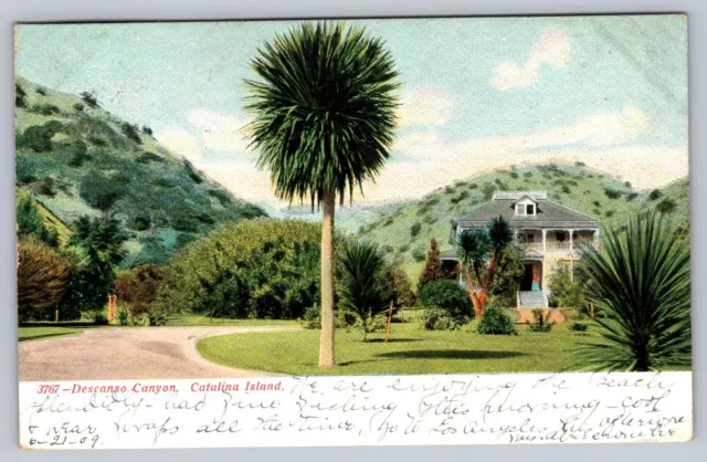 Postcard California Descanso Canyon  Catalina Island California Posted 1909