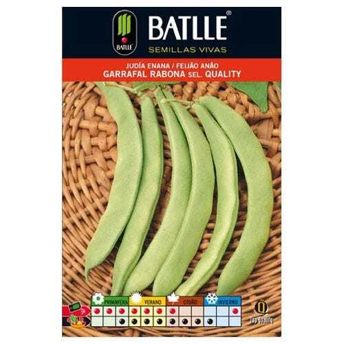 Graines De Rutabaga 'Col Vert' - Batlle - Sachet De 10g (environ 3000 Graines) - Légume Racine D'automne-hiver Rustique - 3