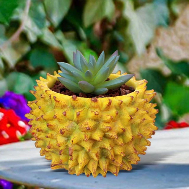 4BIG.fun Vaso Per Piante In Plastica | 5.5 Litri | Diametro 23cm Altezza 21cm | Per Terrazzo E Giardino
