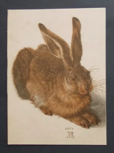 Der Feldhase von Albrecht Dürer beschrieben