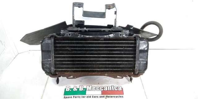 Radiatore Completo Ventola Kymco Dink 150 Lx 2000-2004 (Ns093)