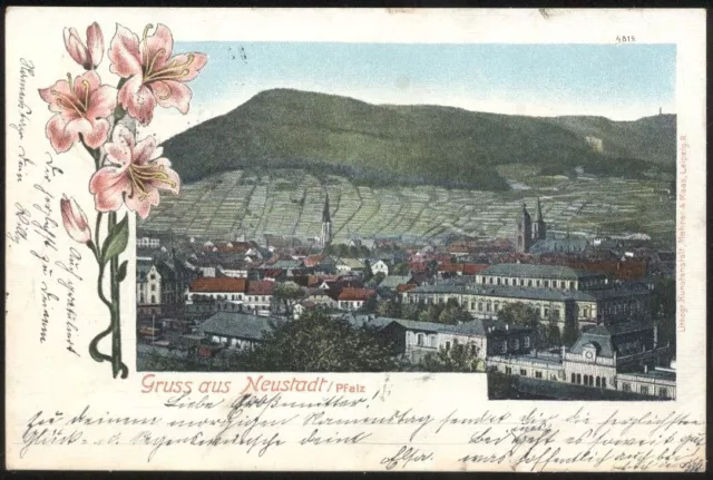 AK 32 GRUSS AUS NEUSTADT / PFALZ - GESAMTANSICHT MIT WEINBERGE gel.1900 (318)