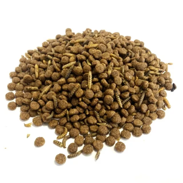 Premium Hedgehog Food with Dried Calciworms 5kg Sold By Maltbys Stores 1904 Ltd.