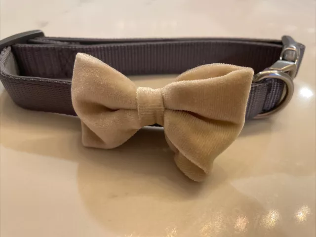 DOGHAUS Chic Dog Satin Bow Padded Dog Collar With Bow Tie (L) Large Neck Size