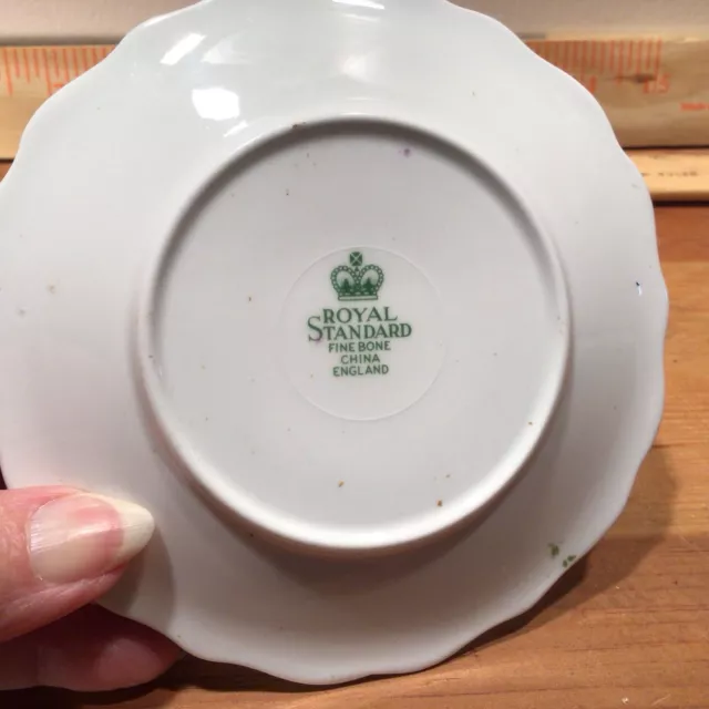 VTG. Royal Standard, Fine Bone China, Made in England, Springer Spaniel, 4.75” D 3