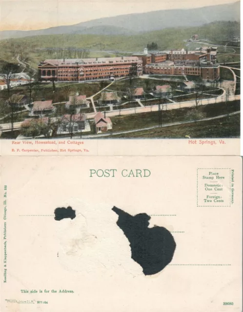 Hot Springs Va Homestead & Cottages Antique Postcard