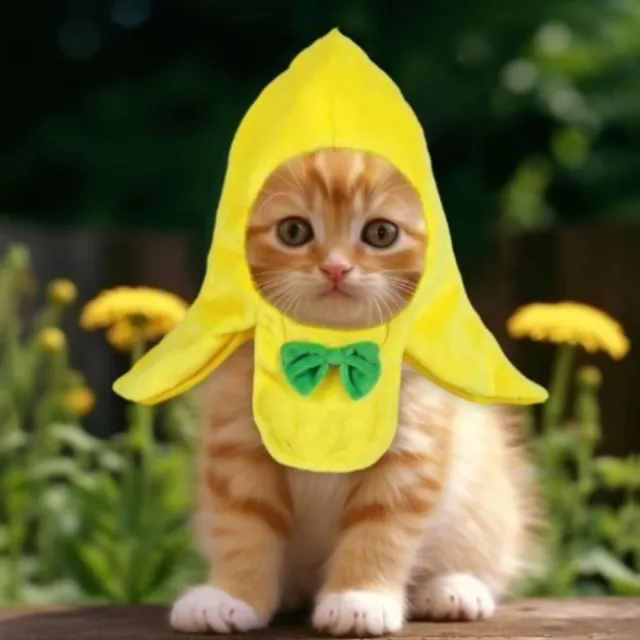 Cosplay Cap Dog Hat Headwear Banana Hat Kitten Cat Costume  Small Dogs