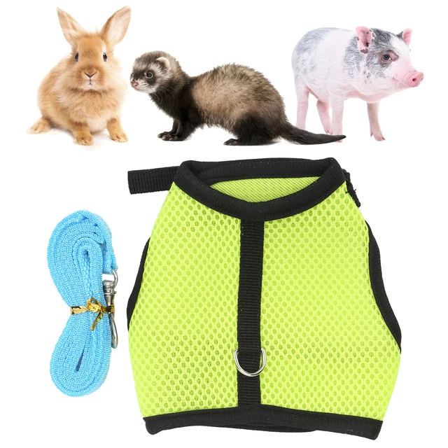 Pet Mesh Traction Harness Brust Zurück Mit Leine Für Kaninchen Guinea Pig Pet Su