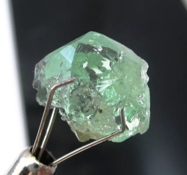 Cristal grenat tsavorite vert 6,69 ct - Merelani Hills, Tanzanie