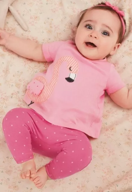 Bnwt Next Baby Girls 3 Piece Outfit T Shirt Leggings Headband Flamingo 0-1 month