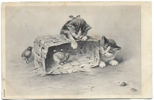 CPA carte postale ancienne  Kettle cats le panier de chatons et poussins