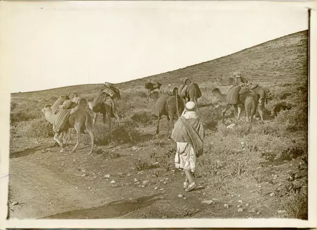 Conflit au Maroc, Tête d&#039;une colonne de ravitaillement, 1911, Vintage silve
