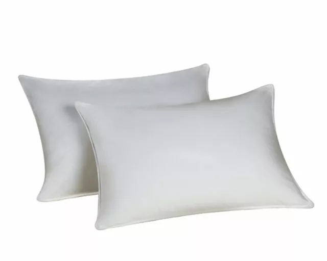 Down Dreams Classic King Pillow Set of 2 Found in Hilton Hotels