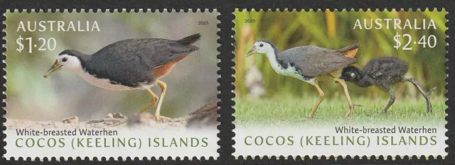 Cocos (Keeling) Islands 2023 :  White-breasted Waterhen, Stamps -  Desing set.