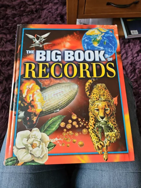 The Big Book of RECORDS By Maureen Spurgeon