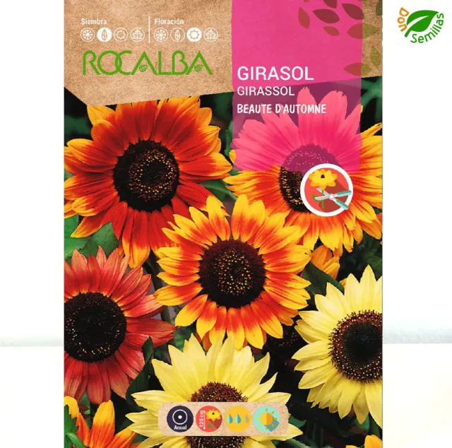 Girasol Belleza de Otoño ( 10 gr / 300 semillas ) Helianthus annuus seeds flores