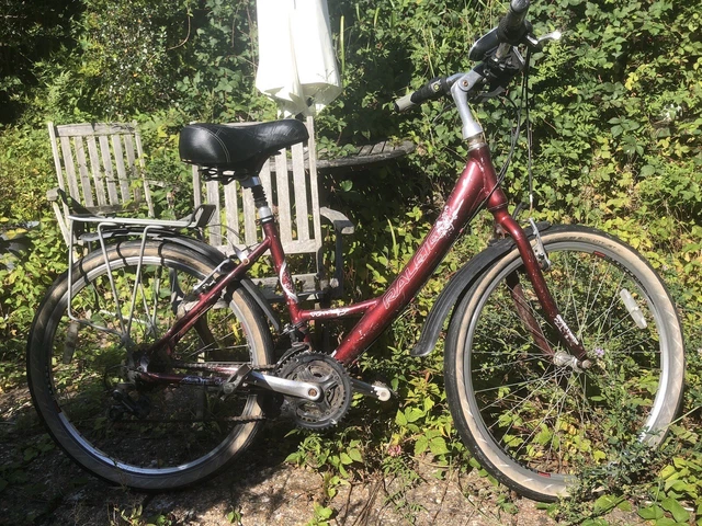 raleigh voyager ladies bike