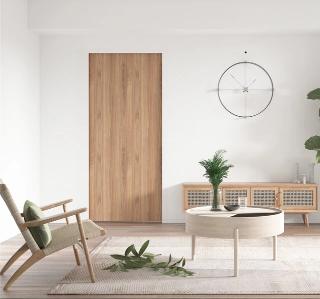 DIYHD POCKET DOOR Frame Kit with TwoWay Soft Close Mechanism for 2X4