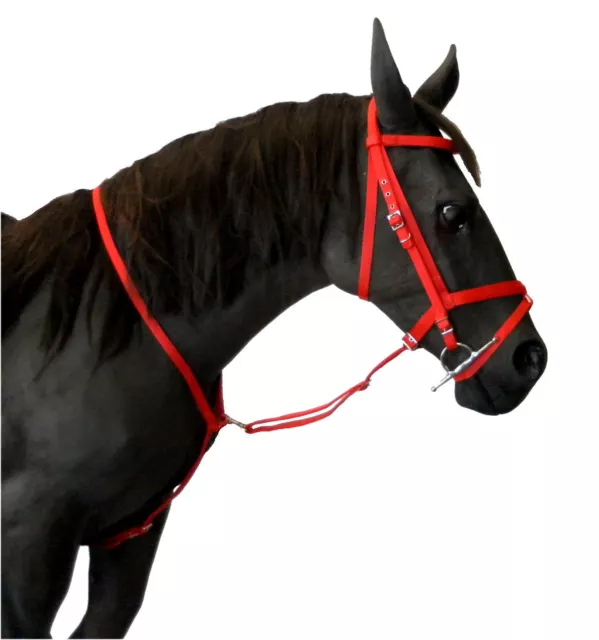 Official Libbys web STANDING MARTINGALE in Pony Cob or Full Size