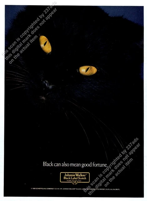 1990 black cat photo Johnnie Walker Scotch whisky GREAT vintage print ad
