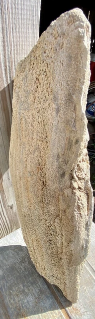 IMPRESSIVE* 29.11 Lb Petrified Fossil Wood Log Covered In Large Druzy-Over 20” L 8