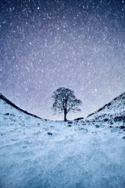 Sycamore Gap Tree Hadrians Wall Winter Edition  A3 Print by D. Dugnas