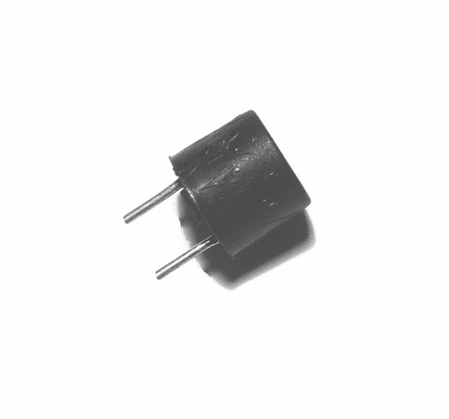 2 x Fusible mini TR5 temporise 2A                                         FMTT2A