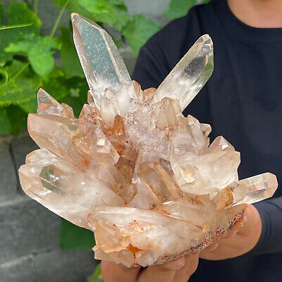7.26LB A+++Large Natural white Crystal Himalayan quartz cluster /mineralsls 542