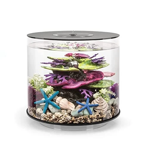 Tube 15 Aquarium with Standard Light  4 Gallon Black with LED Lighting Series 7