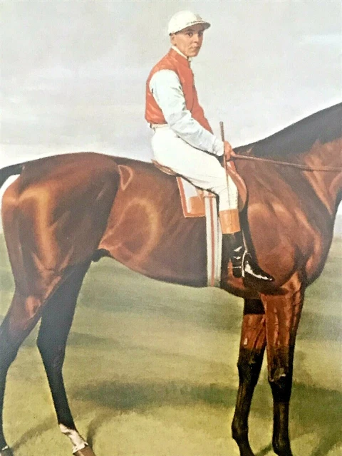 Emil Adam Numbered Ltd Ed "Isingling" Thoroughbred Equestrian Horse Jockey Print