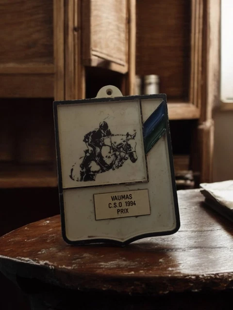 PLAQUE CONCOURS HIPPIQUE chevaux équitation vintage déco loft