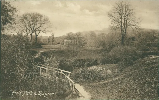 Field Path To Uplyme Dunsters Series Pre 1918