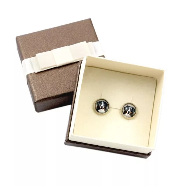 Bernese Mountain Dog. Earrings with box. Photojewelry. Handmade. CA