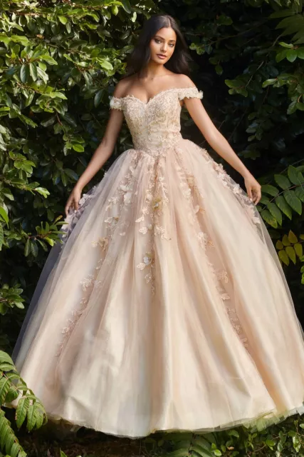 Formal Off Shoulder Layered Tulle Ball Gown Embroidered W/ Floral Applique 2