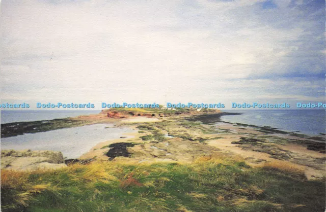 D148199 Hilbre Island. Noel Tatt. A Limited Edition Postcard