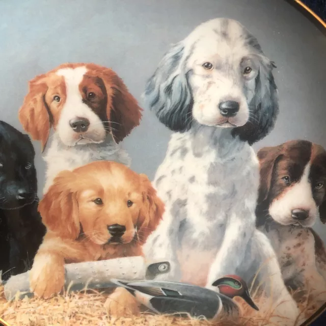 Franklin Mint “School Daze” Plate 5 Lab,Golden Retriever & Spaniel Sporting Pups 2