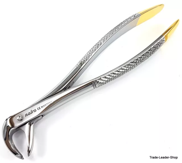 Extraktionszange No. 73 Forceps OS Maxillaire Mâchoire Inférieure Molaire Dental