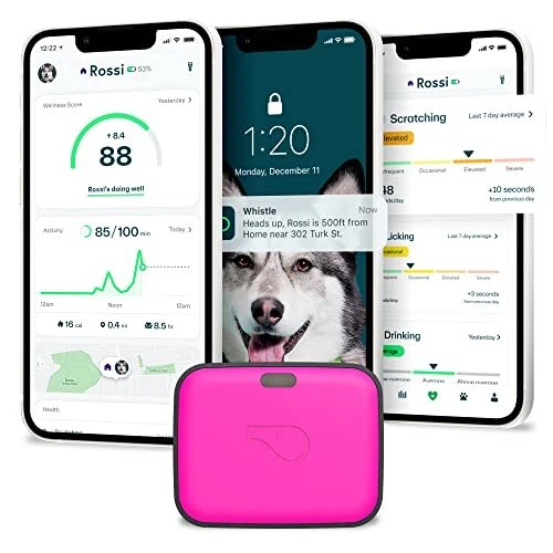 Whistle GO Explore GPS + + Fitness - Dog Tracker Plus & Fitness Monitor Water...