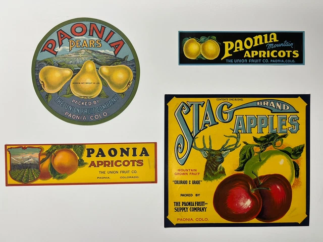 Stag Apples, Apricots, Pears Vintage Paonia CO, ORIGINAL 1930's CRATE LABELS (4)