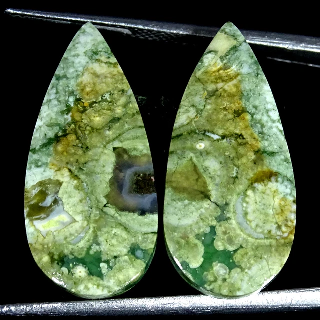 17.80Cts Natürlich Regenwald Jaspis Paar Rhyolite Birne Cabochon Lose Edelsteine