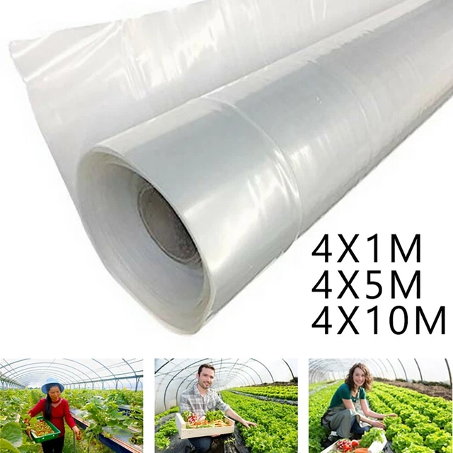 Vegetables Greenhouse Film Flowers Hot House Plant Plastic Transparent