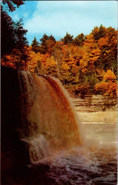 Tahquamenon River, MI - Tahquamenon Falls - Upper Peninsula - Vintage Postcard