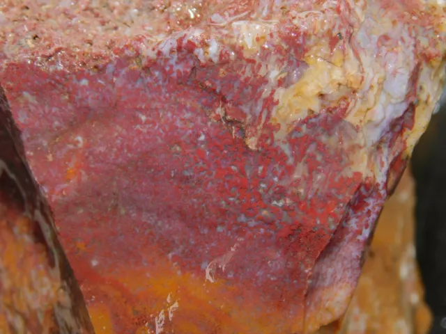 San Carlos Agate lapidary cabbing rough chunk from Mexico 13 lb 8 oz
