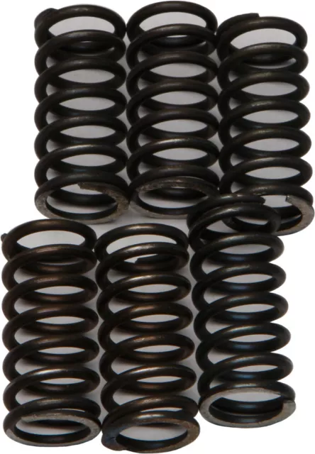 EBC CSK Clutch Spring Set (CSK200)