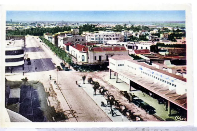 Avenue Mezergues   Meknes Maroc  Afrique Cpa Carte Postale Postcard Ma402