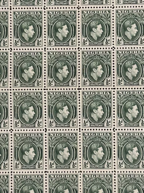 KING GEORGE VI  NIGERIA 1938  120 Unused Full Sheet of Half d Stamps Rare 2