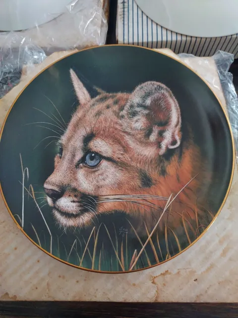 Princeton Gallery Collectors Plate- Cubs of The Big Cats - Cougar Cub