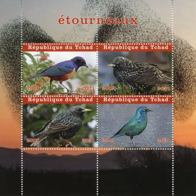 Chad Birds on Stamps 2021 MNH Starlings Starling 4v M/S