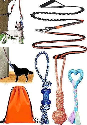 Kidpet Outdoor Dog Toys Tug Toy for Dogs Spring Pole Outdoor Indoor Door Chew...